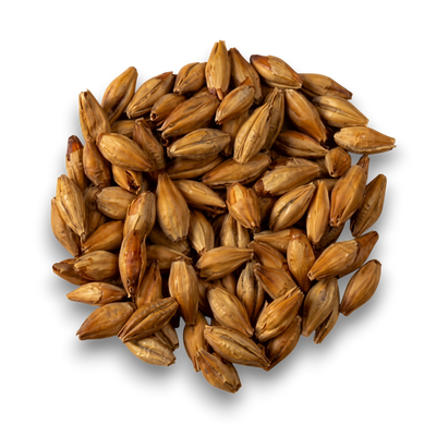 Orge torréfiée*