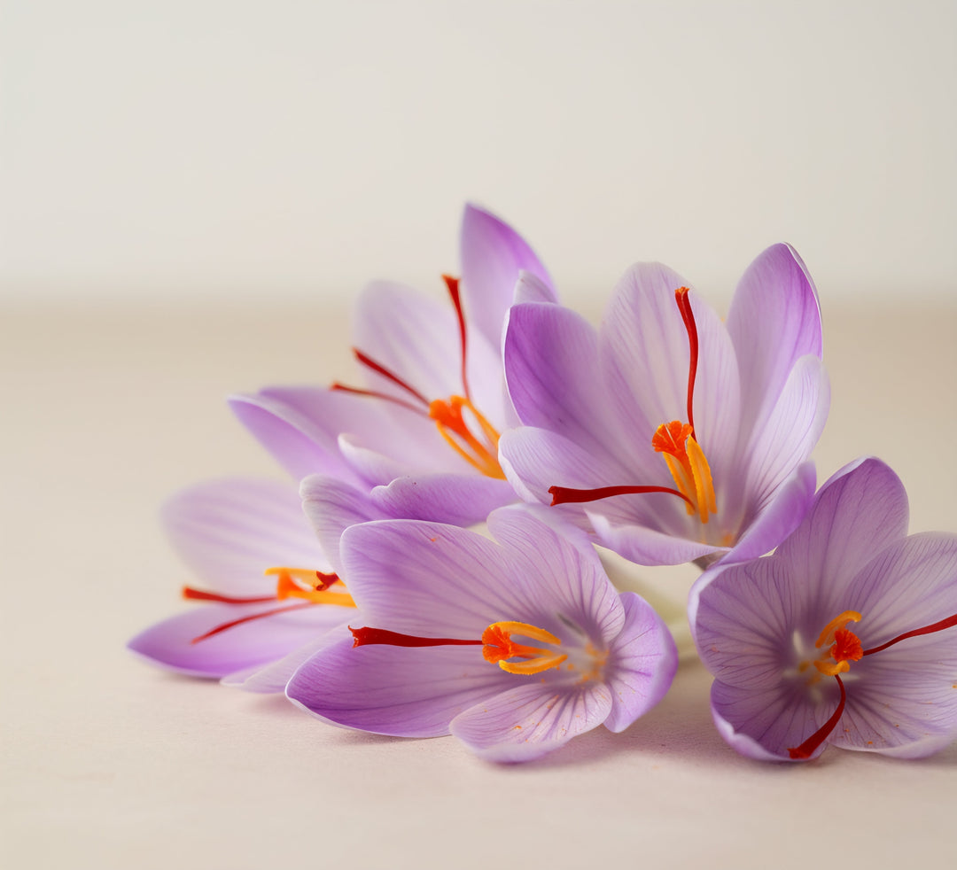 Safran amazigh : histoire, bienfaits & Ajdir